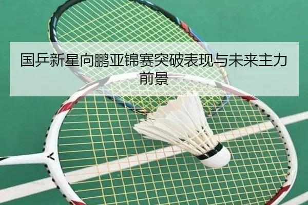 国乒新星向鹏亚锦赛突破表现与未来主力前景